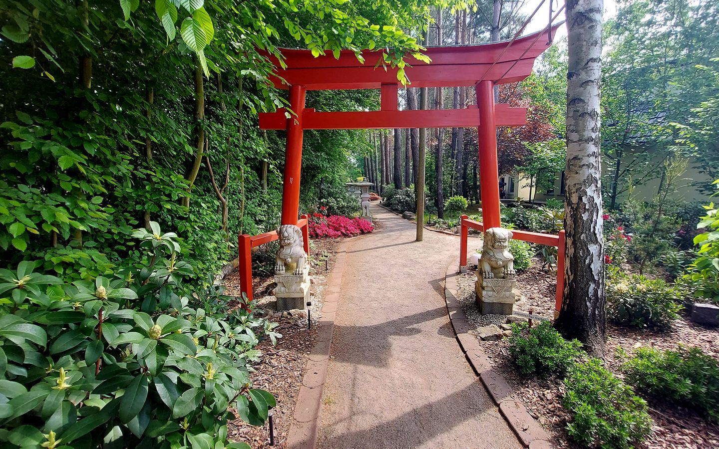 Japanischer Garten mit Tori