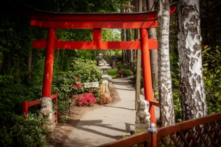 Torii-Tor - Eingang zum Koigarten Willischza